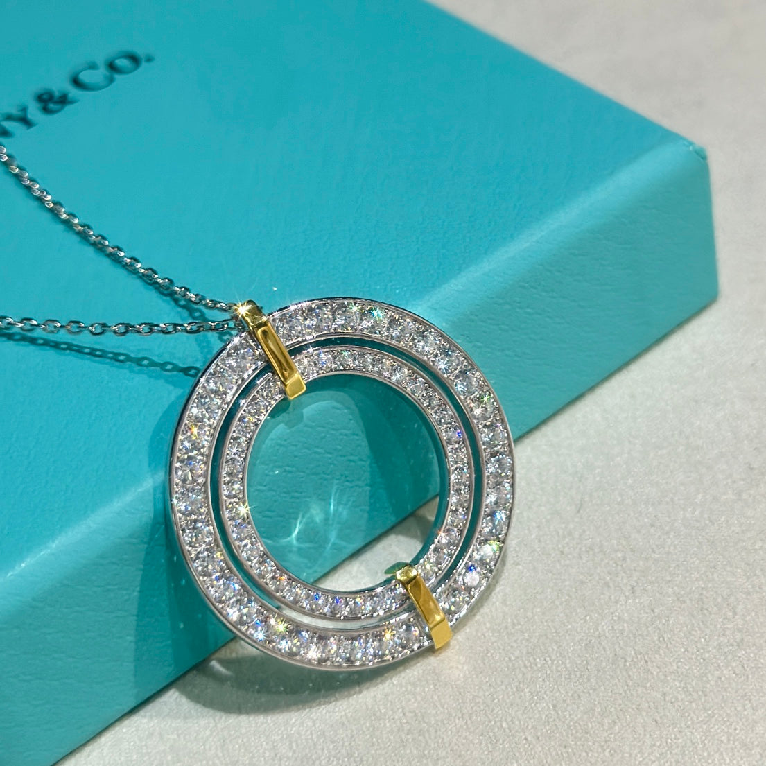 Tiffany Edge Circle Moissanite Pendant Necklace