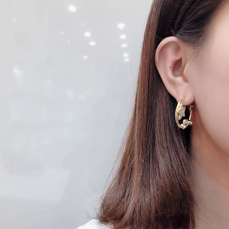 Dior Star Pink Crystal Earrings