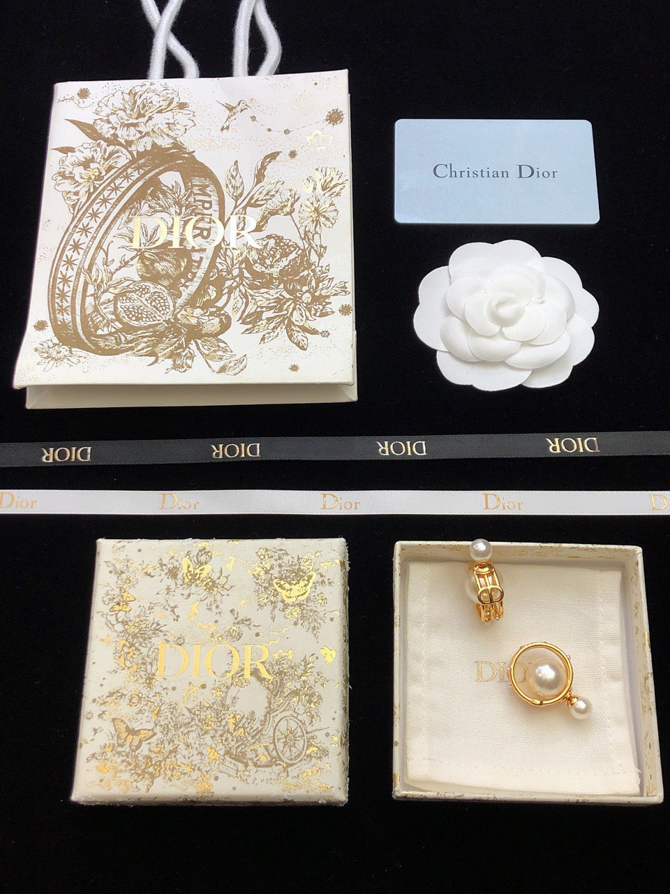 Dior D-Backstage Earrings