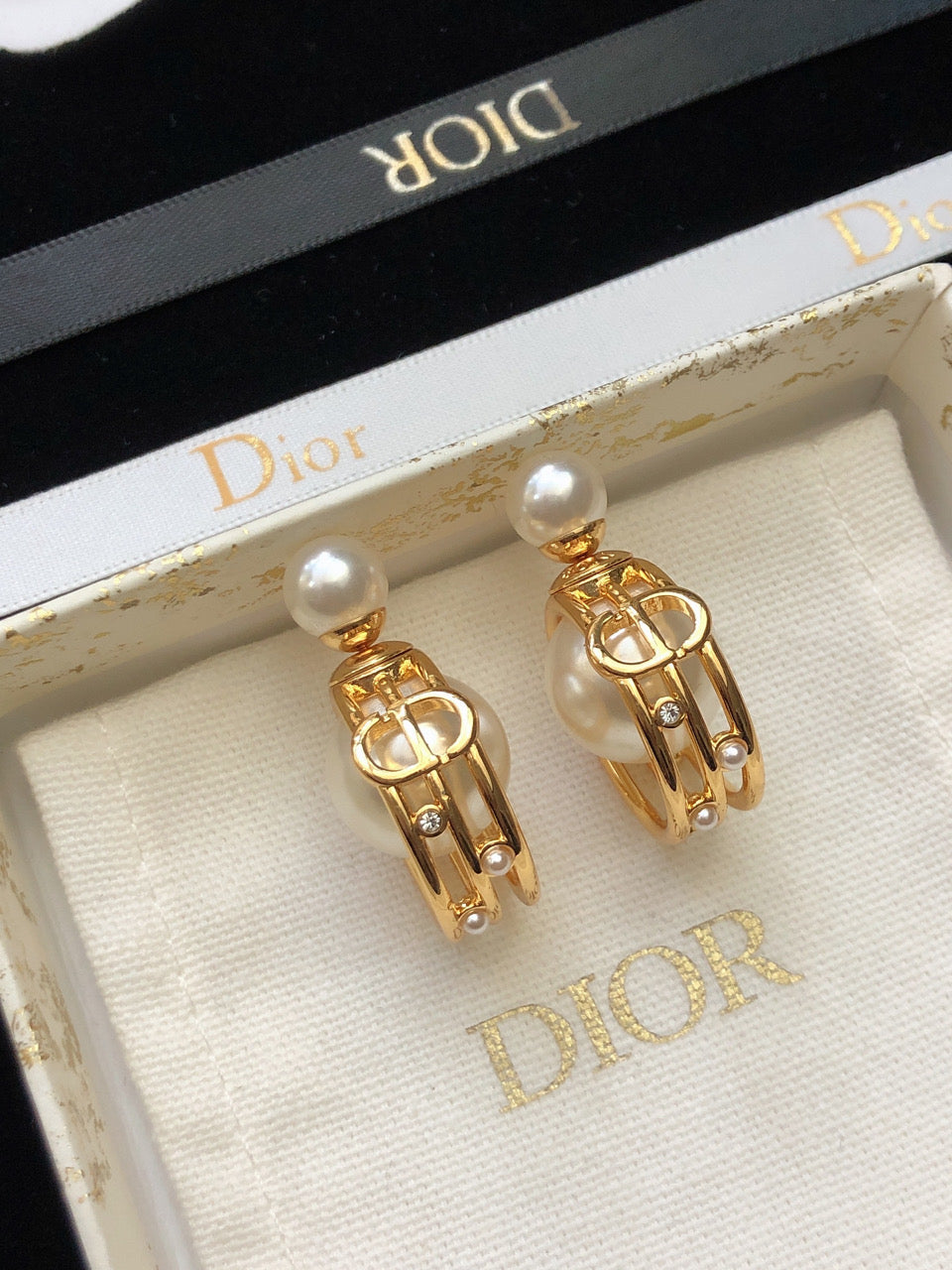 Dior D-Backstage Earrings
