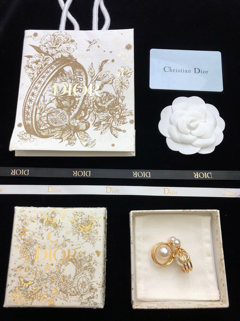 Dior D-Backstage Earrings